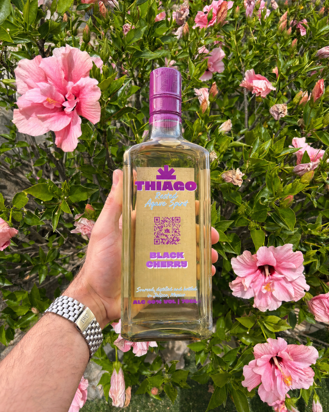 Black Cherry Agave Review: Worth It?
