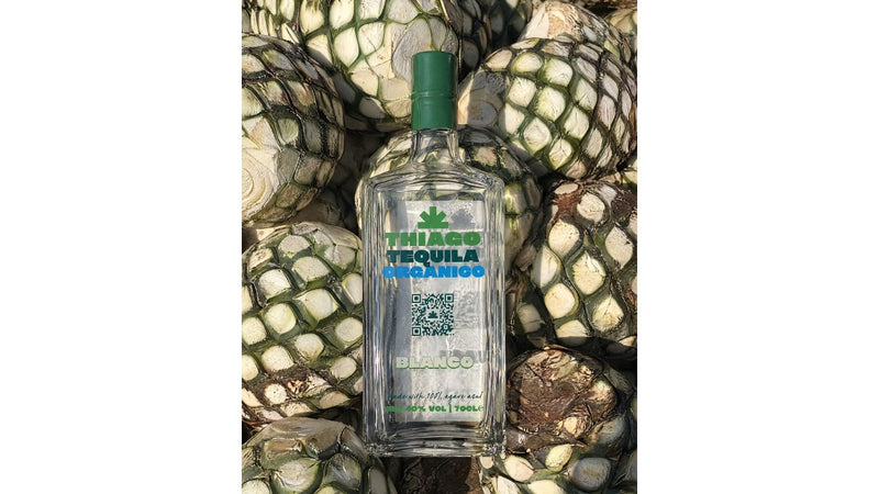 Best Craft Tequila for Cocktails: 5 Bottles That Actually Shine