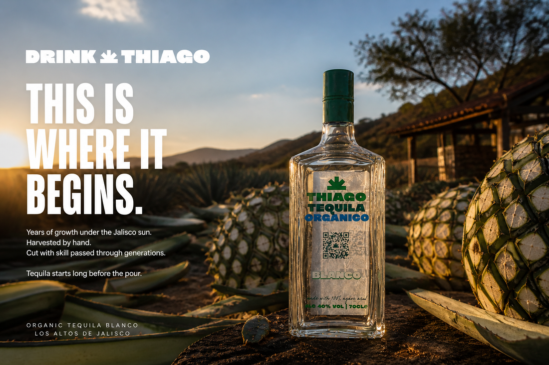 Agave tequila health facts: What you need to know