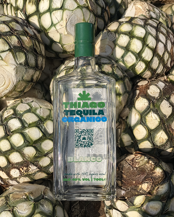 Best Sugar-Free Tequila Brands: 2026 Guide