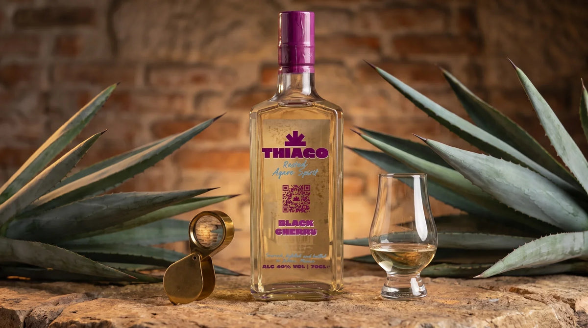 How to Identify High Quality Tequila: 2026 Expert Guide