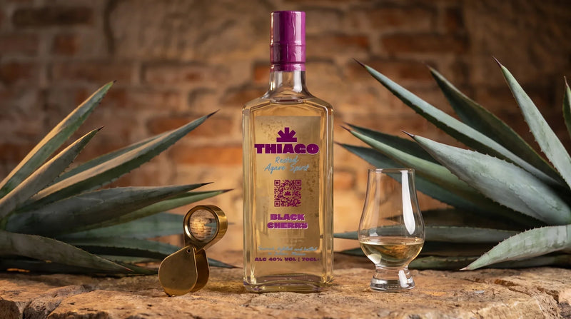 How to Identify High Quality Tequila: 2026 Expert Guide