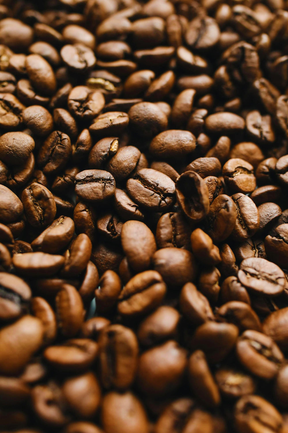 <p><strong>Coffee</strong></p>